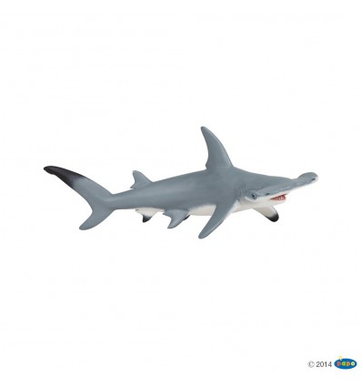 Hammerhead shark