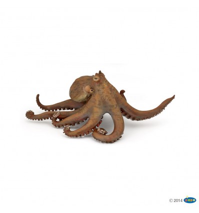 Octopus