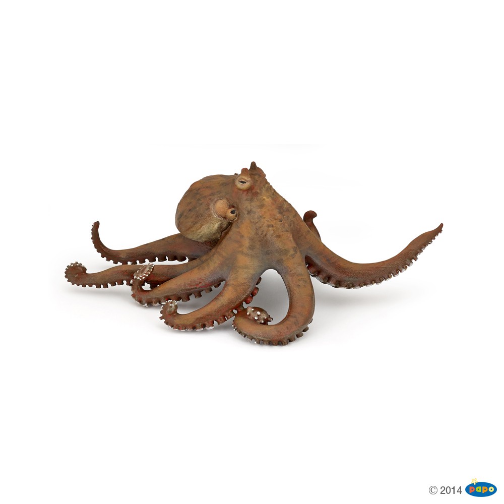 octopus cap blue 108Flowers【 PSA9】 英語版 Amazon.co.jp: Takashi Murakami 108 Flowers Octopus Cap Blue