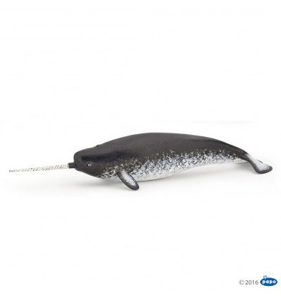 Narwhal