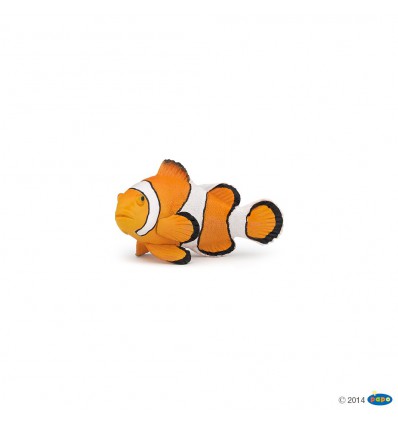 Clownfish