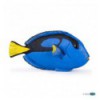 Surgeonfish