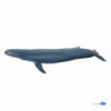 Baleine bleue