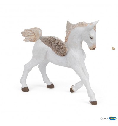 Baby pegasus