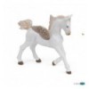 Baby pegasus