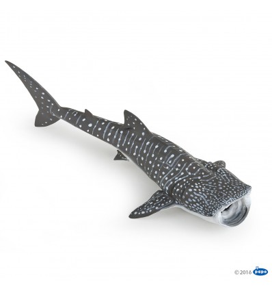 Whale shark