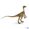 Compsognathus