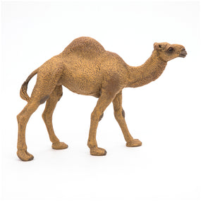 Dromedary Figurine