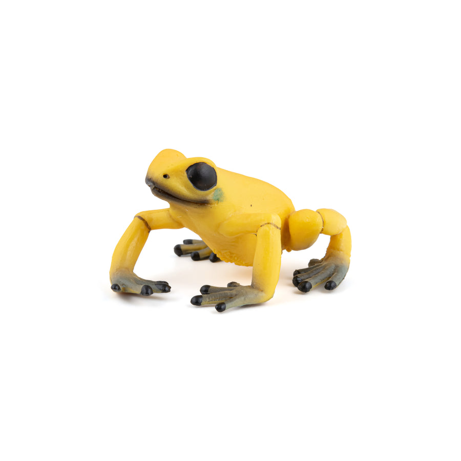 Figurine Grenouille équatoriale jaune