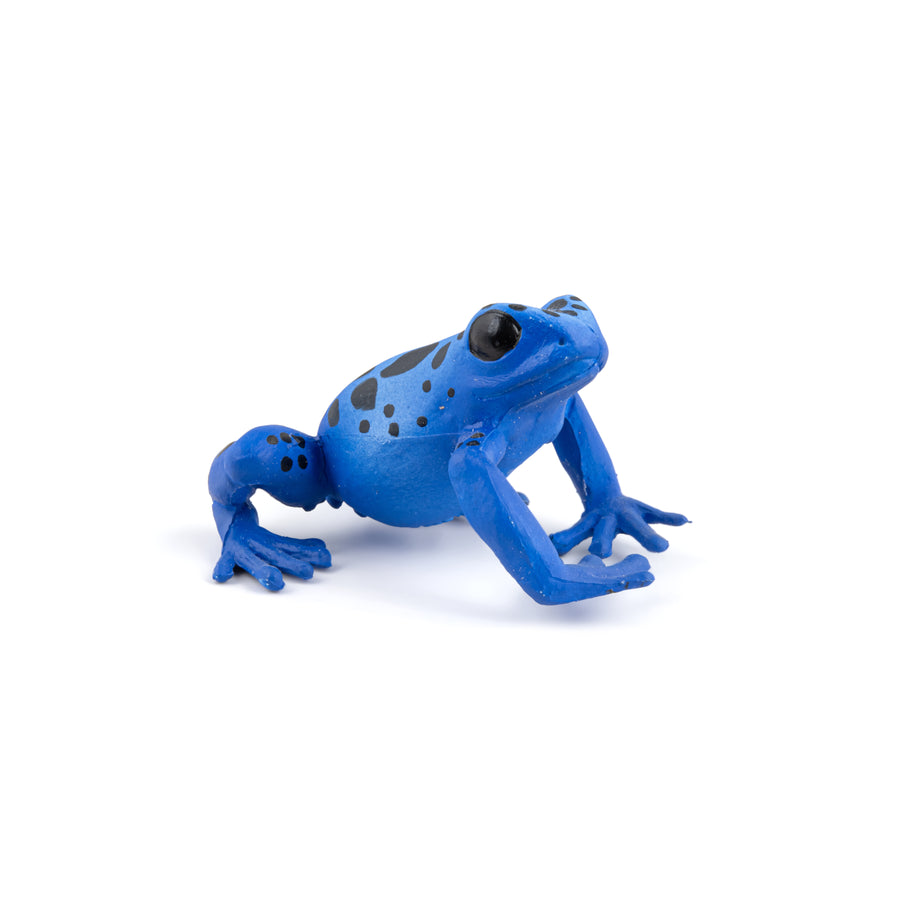Figurine Grenouille équatoriale bleue