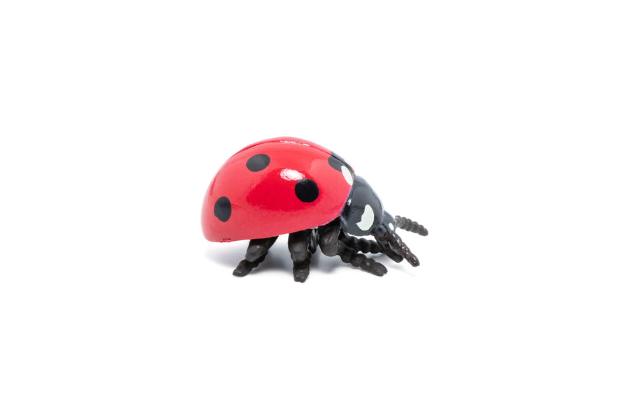 Figurine Coccinelle