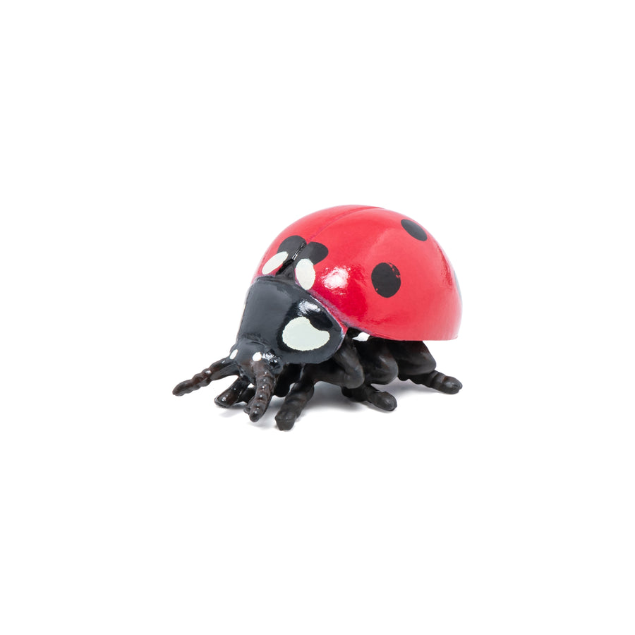 Figurine Coccinelle