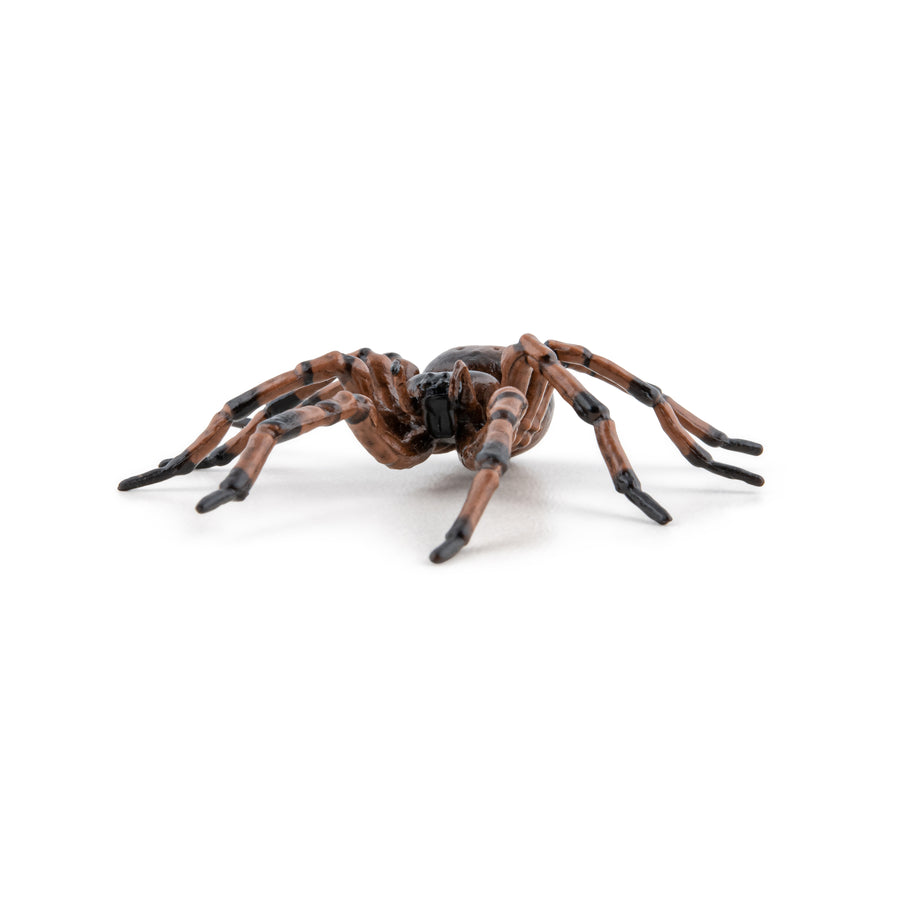 Common Spider Figurine