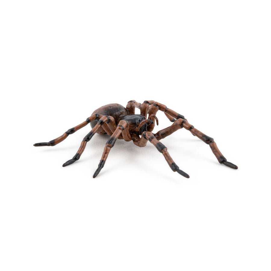 Common Spider Figurine
