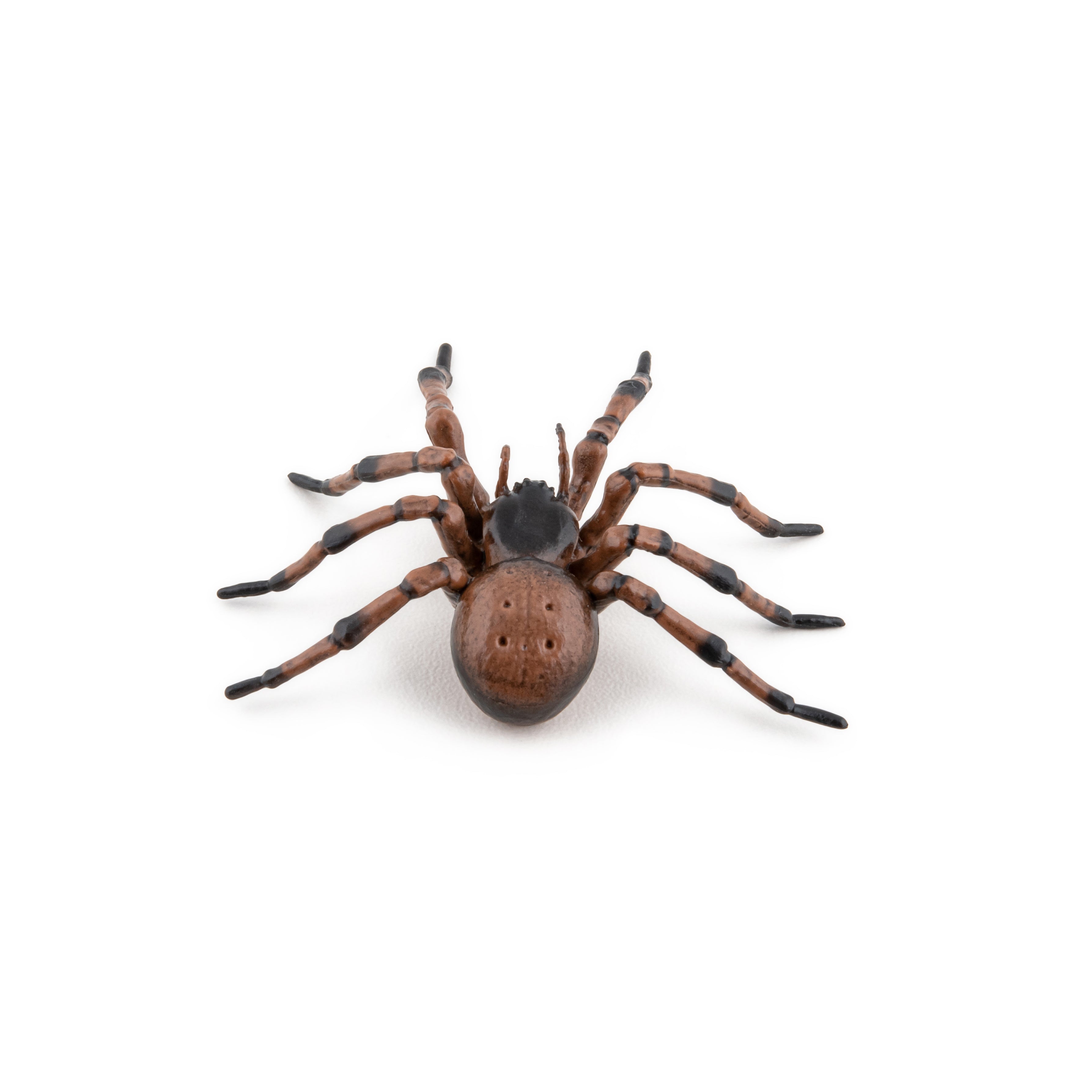 Figurine Papo Lucane - Insecte Réaliste Pour Enfants - Dès 3 Ans - Jeu éducatif