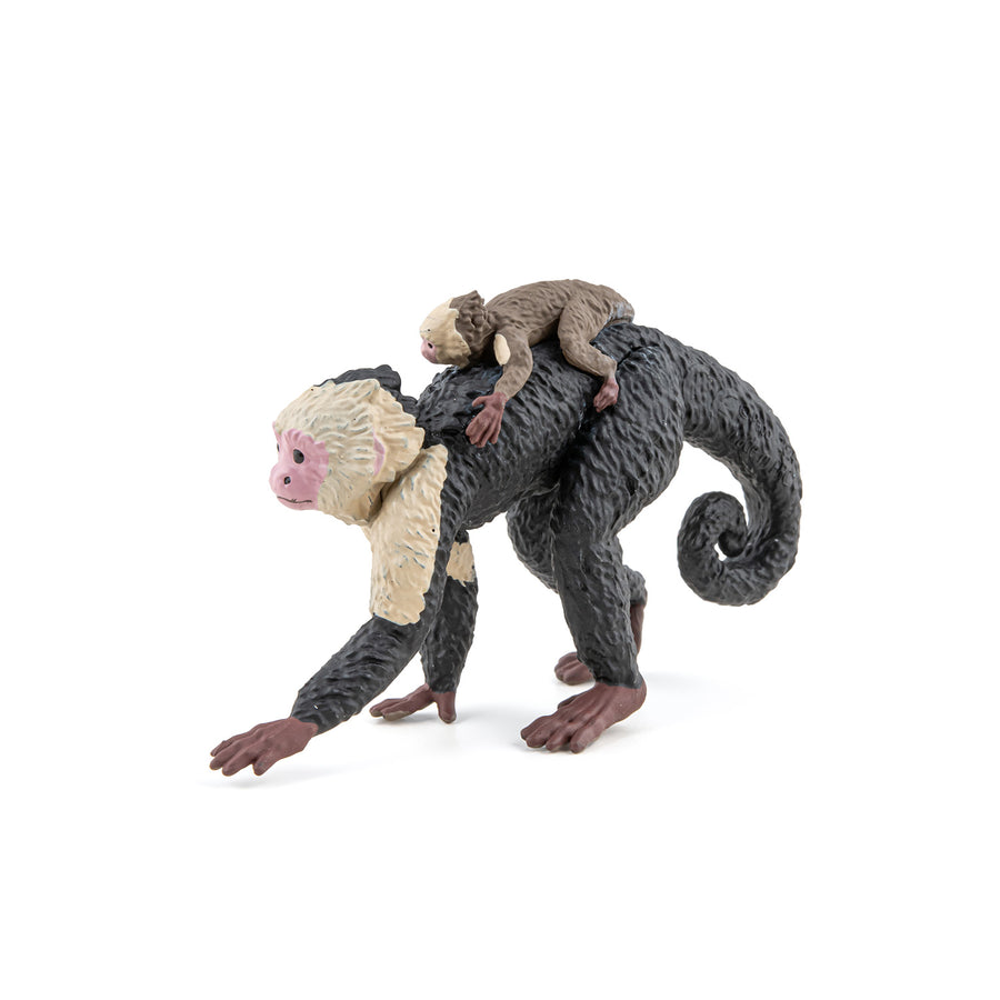 Figurine Capucin