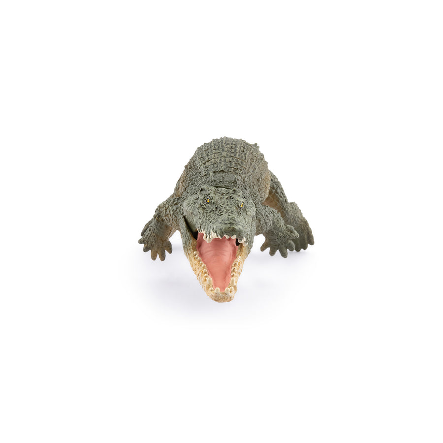 Figurine Crocodile marin