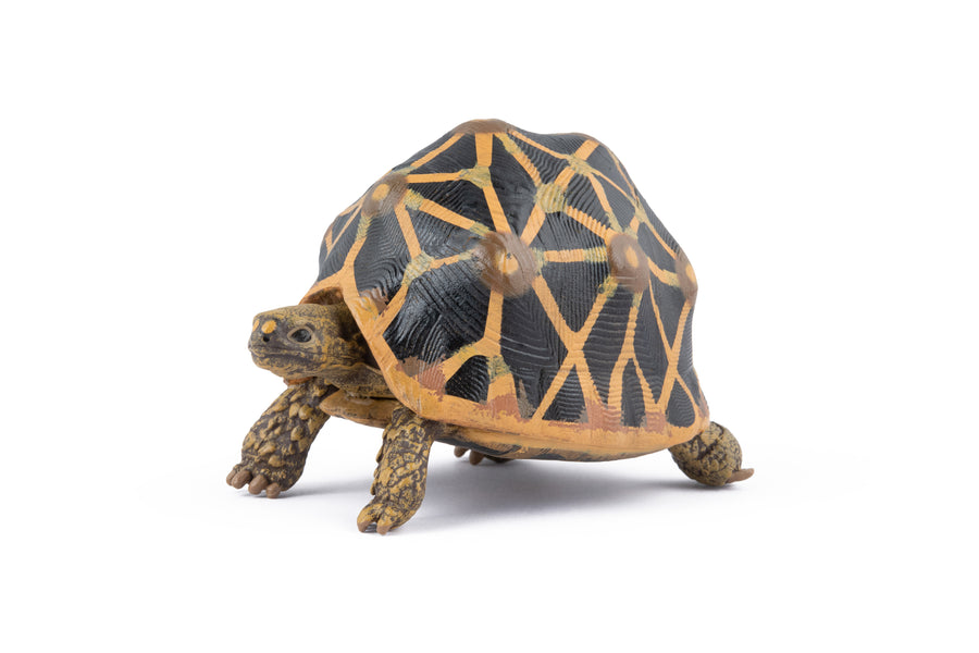 Figurine Tortue étoilee