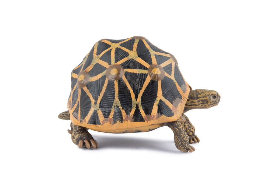 Figurine Tortue étoilee