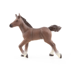 Anglo-Arab Foal Figurine