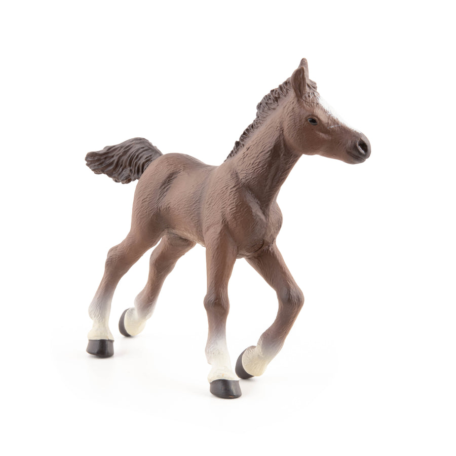 Anglo-Arab Foal Figurine