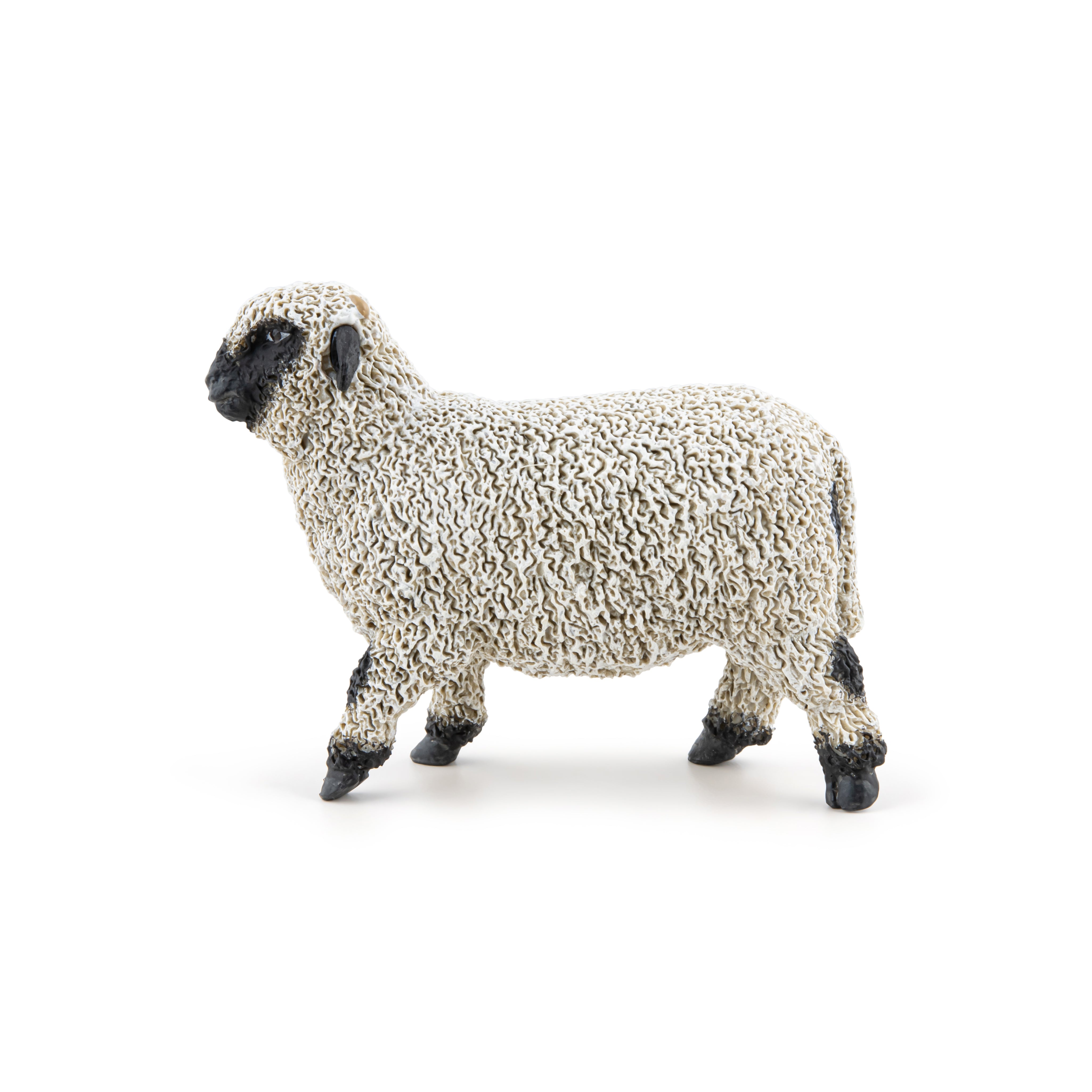 Valais Black Nose Sheep Figurine - Farm Life | Papo France