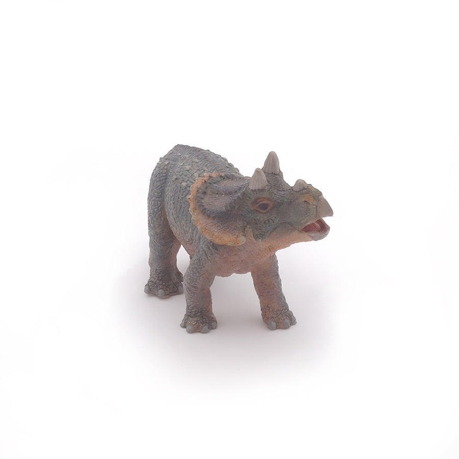 Young Triceratops Figurine