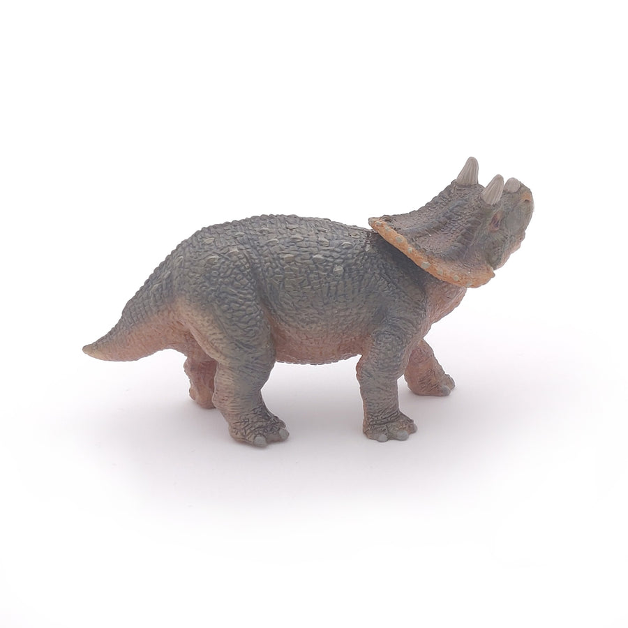 Young Triceratops Figurine