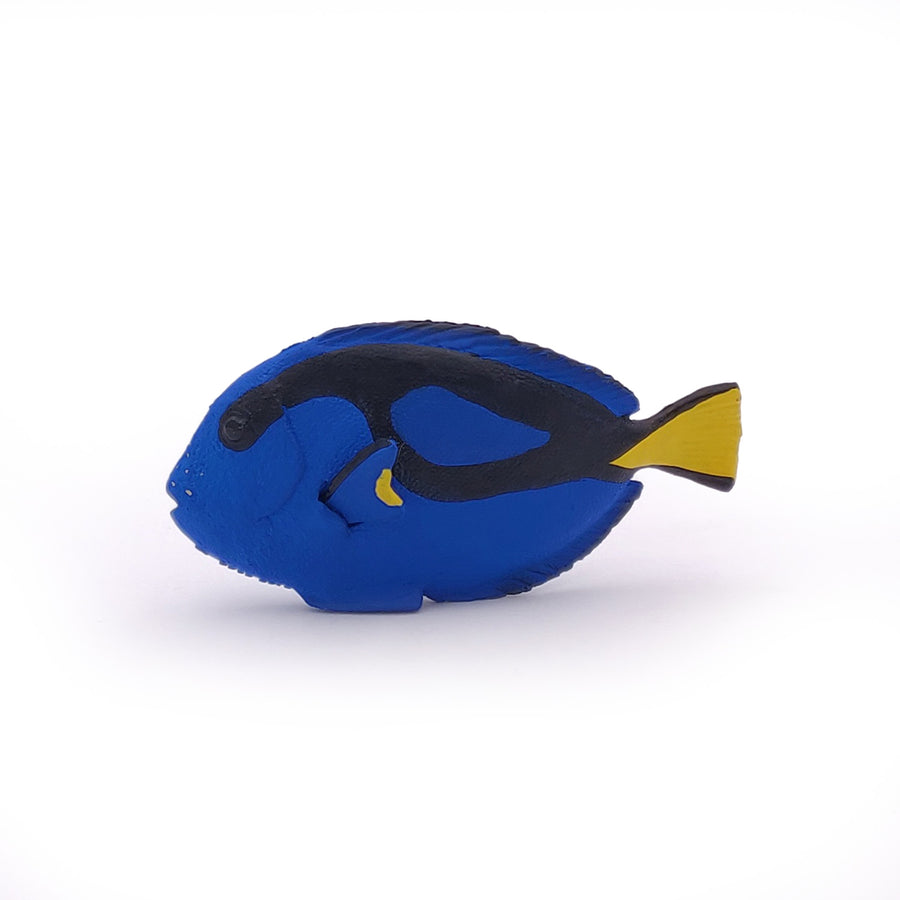 Surgeonfish Figurine