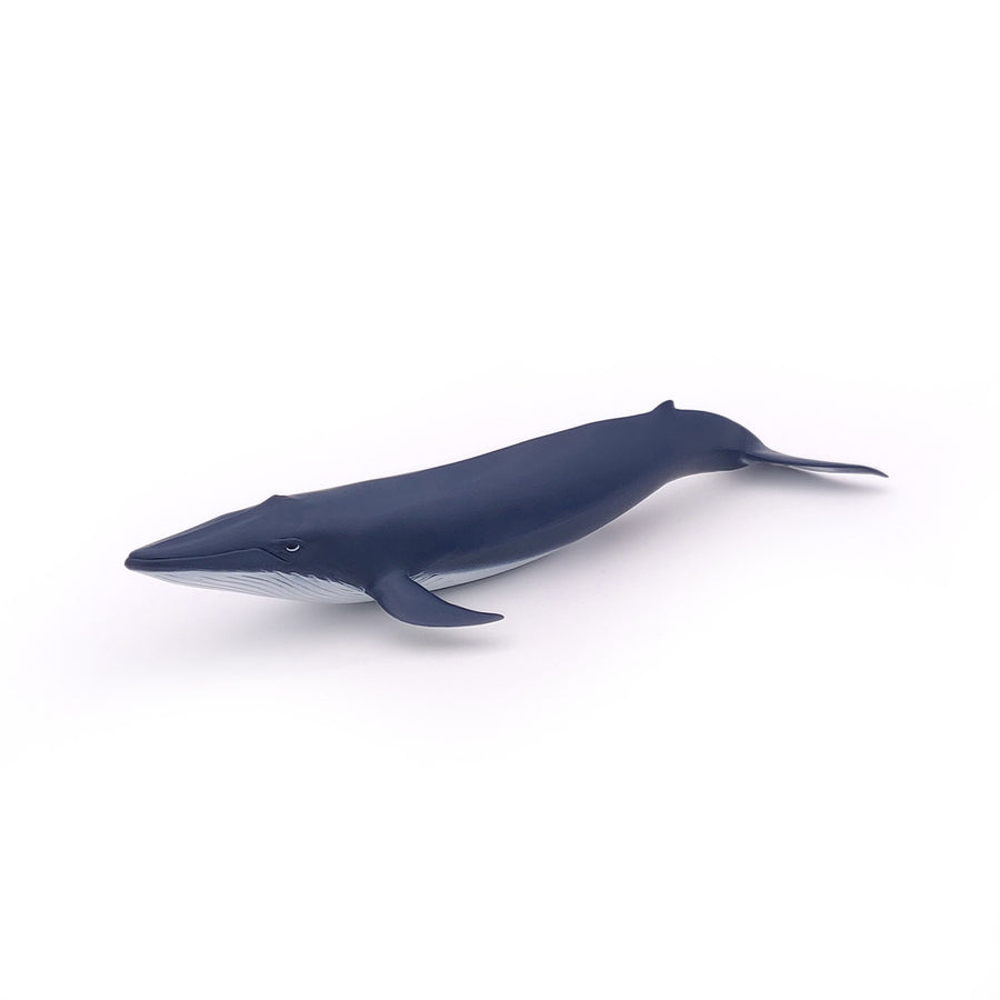 Figurine Bébé baleine bleue