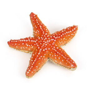 Starfish Figurine