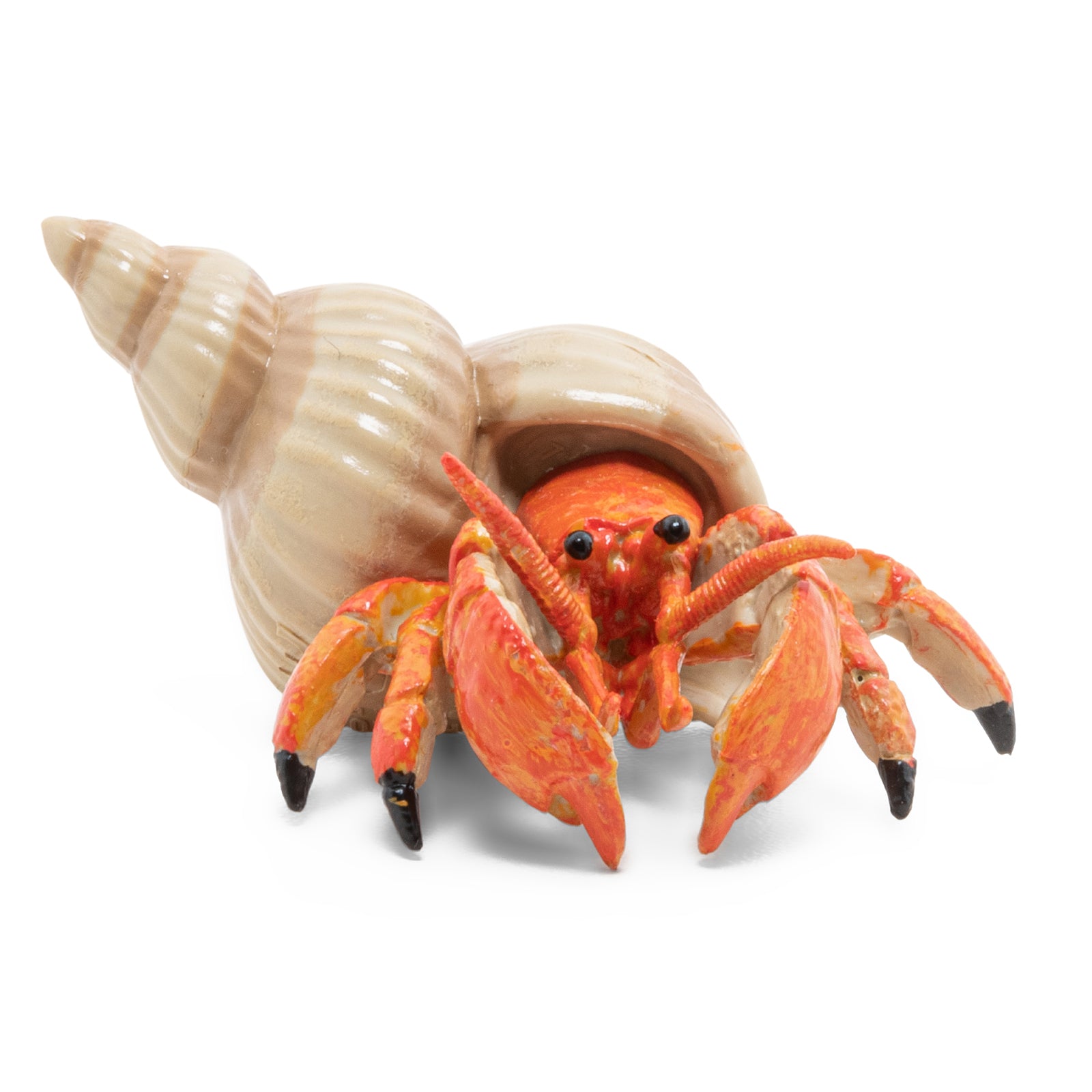 Hermit Crab Figurine - The Marine Universe | Papo France