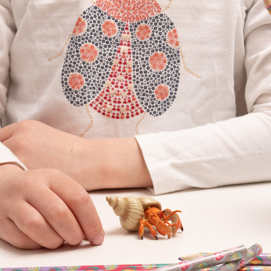 Einsiedlerkrebs-Figur