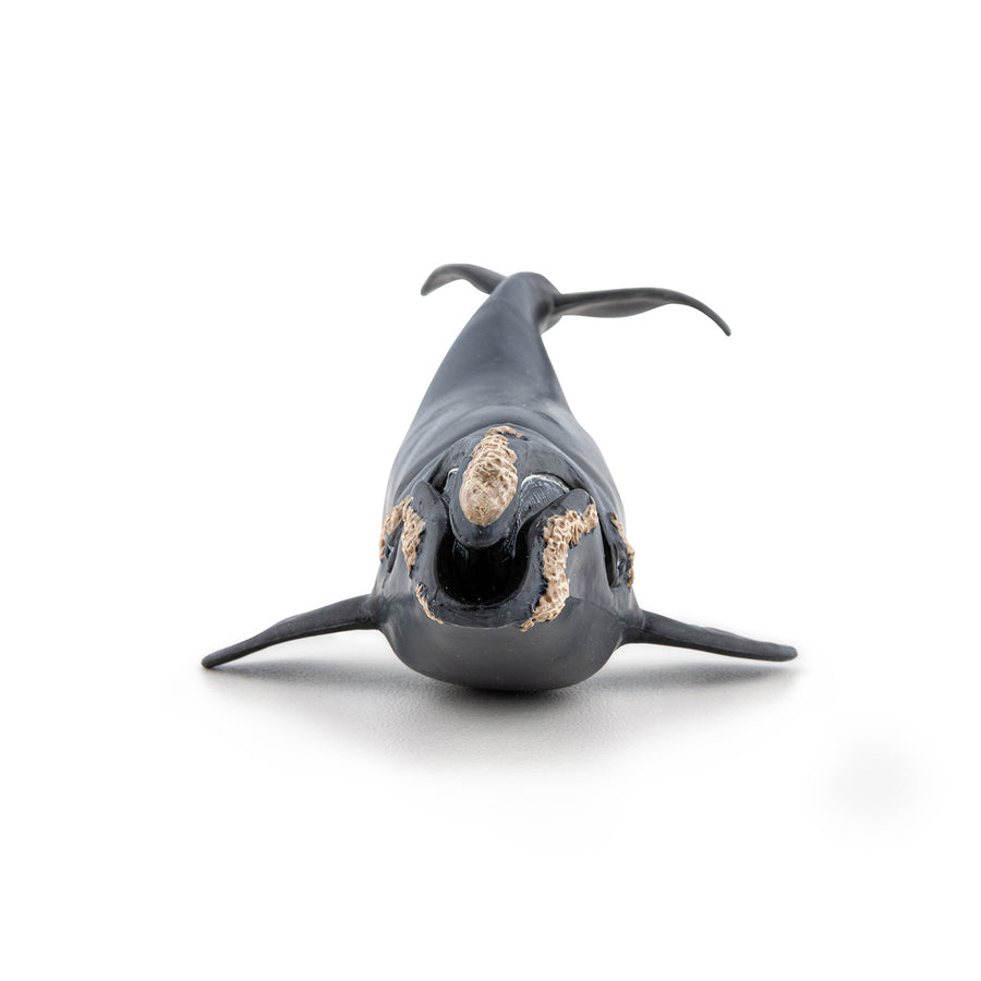 Right Whale Figurine