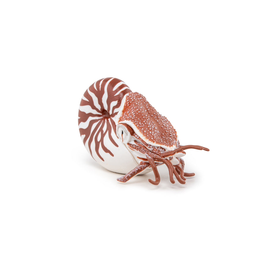 Nautilus-Figur