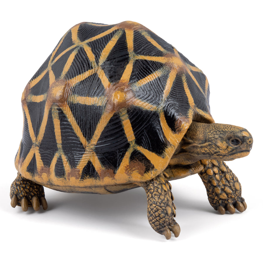Figurine Tortue étoilee